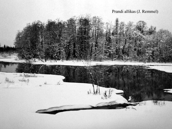 Maakond: Järvamaa Veekogu nimi: Prandi allikas Pildistamise aeg: teadmata Pildistaja: J. Remmel (Eesti Looduse arhiiv) Pildistamise koht: teadmata Asimuut: