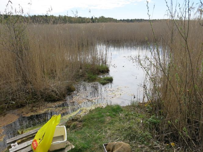 Maakond: Läänemaa Veekogu nimi: Prästvike allikas Pildistamise aeg: 14. mai 2014 Pildistaja: H. Timm Pildistamise koht: teadmata Asimuut: