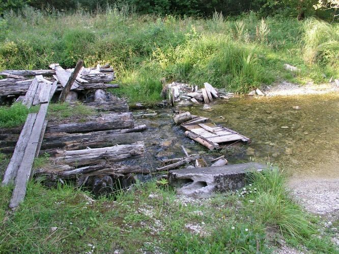 Maakond: Lääne-Virumaa Veekogu nimi: Preedi jõgi Pildistamise aeg: august 2003 Pildistaja: H. Timm Pildistamise koht: teadmata Asimuut: