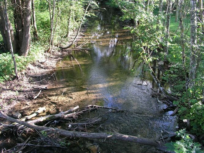 Maakond: Lääne-Virumaa Veekogu nimi: Preedi jõgi Pildistamise aeg: august 2003 Pildistaja: H. Timm Pildistamise koht: teadmata Asimuut: