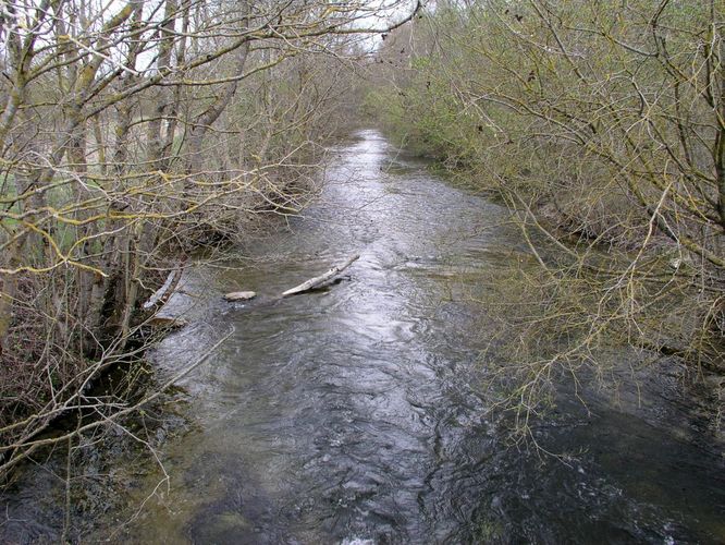 Maakond: Järvamaa Veekogu nimi: Preedi jõgi Pildistamise aeg: 7. mai 2007 Pildistaja: H. Timm Pildistamise koht: Rõhu sillalt Asimuut: