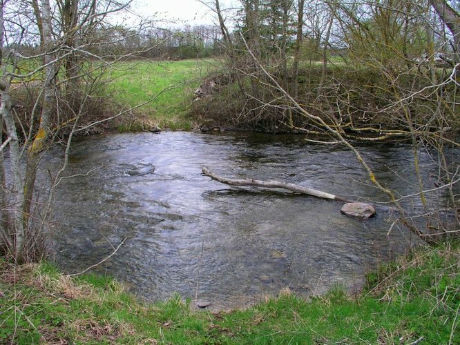 Maakond: Järvamaa Veekogu nimi: Preedi jõgi Pildistamise aeg: 7. mai 2007 Pildistaja: H. Timm Pildistamise koht: Rõhu sillalt Asimuut: