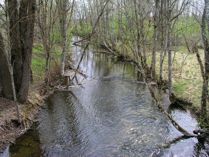 Maakond: Järvamaa Veekogu nimi: Preedi jõgi Pildistamise aeg: 7. mai 2007 Pildistaja: H. Timm Pildistamise koht: Liigvalla sillalt Asimuut: