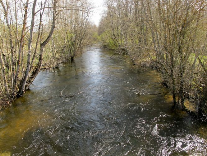 Maakond: Järvamaa Veekogu nimi: Preedi jõgi Pildistamise aeg: 7. mai 2011 Pildistaja: H. Timm Pildistamise koht: Rõhu Asimuut: