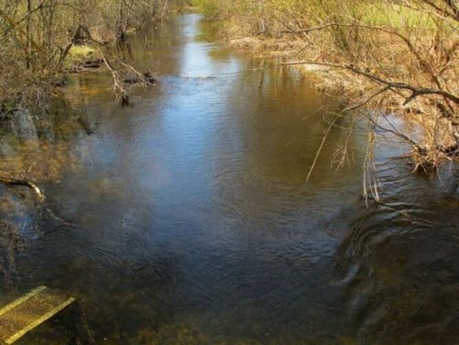 Maakond: Järvamaa Veekogu nimi: Preedi jõgi Pildistamise aeg: 7. mai 2011 Pildistaja: H. Timm Pildistamise koht: Rõhu Asimuut: