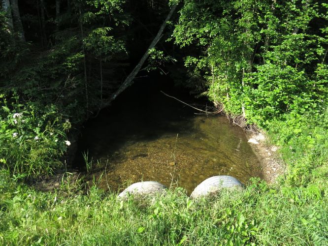 Maakond: Järvamaa Veekogu nimi: Preedi jõgi Pildistamise aeg: 7. juuli 2013 Pildistaja: H. Timm Pildistamise koht: Piibe mnt. Asimuut: