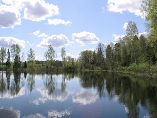 Maakond: Jõgevamaa Veekogu nimi: Prilljärv Pildistamise aeg: 20. mai 2005 Pildistaja: H. Timm Pildistamise koht: teadmata Asimuut: