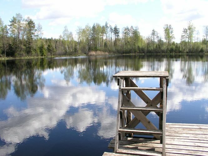 Maakond: Jõgevamaa Veekogu nimi: Prilljärv Pildistamise aeg: 20. mai 2005 Pildistaja: H. Timm Pildistamise koht: teadmata Asimuut: