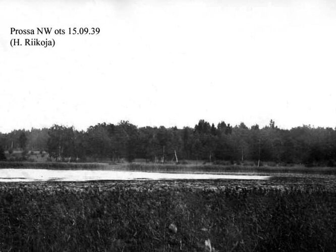 Maakond: Jõgevamaa Veekogu nimi: Prossa järv Pildistamise aeg: 15. september 1939 Pildistaja: H. Riikoja Pildistamise koht: NW ots Asimuut: SW