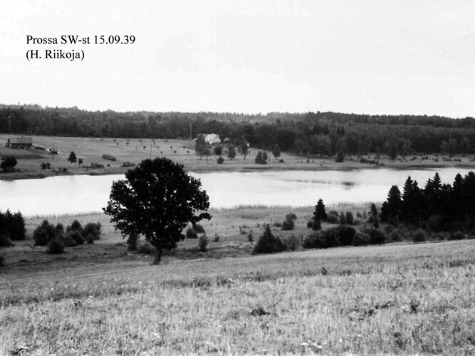 Maakond: Jõgevamaa Veekogu nimi: Prossa järv Pildistamise aeg: 15. september 1939 Pildistaja: H. Riikoja Pildistamise koht: SW kaldalt Asimuut: E