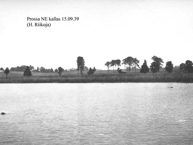 Maakond: Jõgevamaa Veekogu nimi: Prossa järv Pildistamise aeg: 15. september 1939 Pildistaja: H. Riikoja Pildistamise koht: NE kallas Asimuut: NE