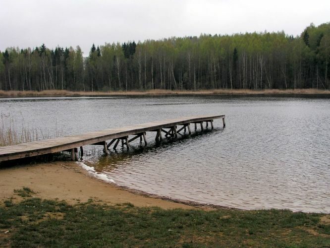 Maakond: Jõgevamaa Veekogu nimi: Prossa järv Pildistamise aeg: 18. mai 2005 Pildistaja: H. Timm Pildistamise koht: teadmata Asimuut: