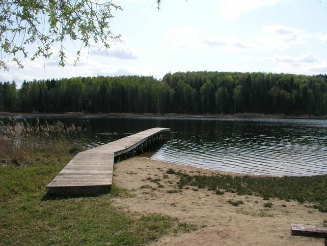 Maakond: Jõgevamaa Veekogu nimi: Prossa järv Pildistamise aeg: 11. mai 2006 Pildistaja: H. Timm Pildistamise koht: teadmata Asimuut: