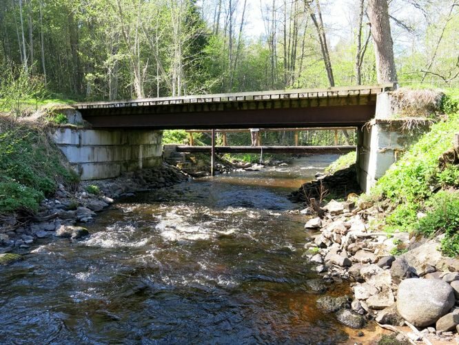 Maakond: Ida-Virumaa Veekogu nimi: Pudisoo jõgi Pildistamise aeg: 15. mai 2013 Pildistaja: H. Timm Pildistamise koht: Sae Asimuut: