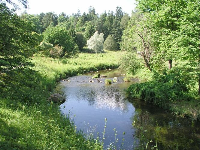 Maakond: Ida-Virumaa Veekogu nimi: Pühajõgi Pildistamise aeg: 3. august 2003 Pildistaja: H. Timm Pildistamise koht: Oru Asimuut: