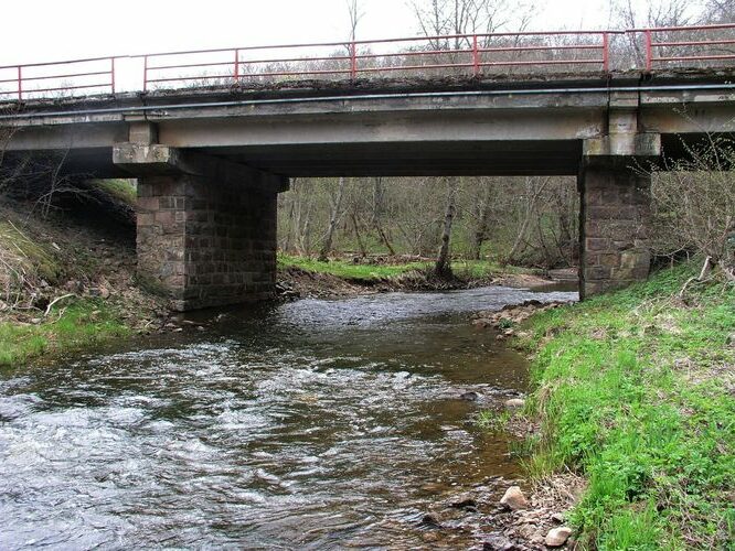 Maakond: Ida-Virumaa Veekogu nimi: Pühajõgi Pildistamise aeg: 6. mai 2009 Pildistaja: H. Timm Pildistamise koht: Pühajõe allpool silda Asimuut: