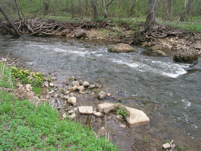 Maakond: Ida-Virumaa Veekogu nimi: Pühajõgi Pildistamise aeg: 6. mai 2009 Pildistaja: H. Timm Pildistamise koht: Pühajõe allpool silda Asimuut: