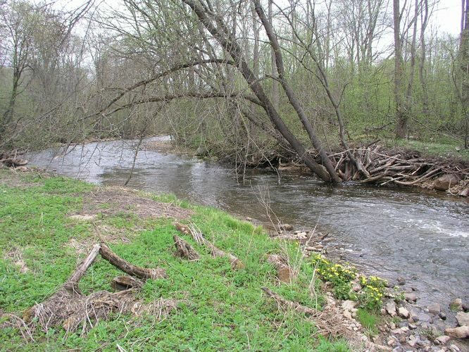 Maakond: Ida-Virumaa Veekogu nimi: Pühajõgi Pildistamise aeg: 6. mai 2009 Pildistaja: H. Timm Pildistamise koht: Pühajõe allpool silda Asimuut: