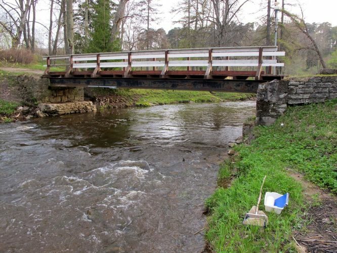 Maakond: Ida-Virumaa Veekogu nimi: Pühajõgi Pildistamise aeg: 12. mai 2010 Pildistaja: H. Timm Pildistamise koht: Toila-Oru Asimuut: