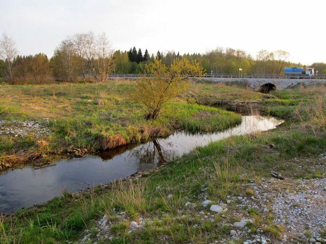 Maakond: Ida-Virumaa Veekogu nimi: Pühajõgi Pildistamise aeg: 12. mai 2010 Pildistaja: H. Timm Pildistamise koht: Kotinuka Asimuut: