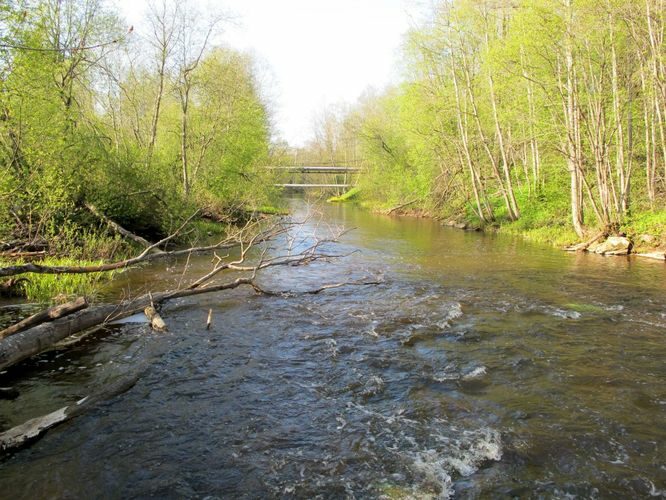 Maakond: Ida-Virumaa Veekogu nimi: Pühajõgi Pildistamise aeg: 12. mai 2010 Pildistaja: H. Timm Pildistamise koht: Voka teerist Asimuut: