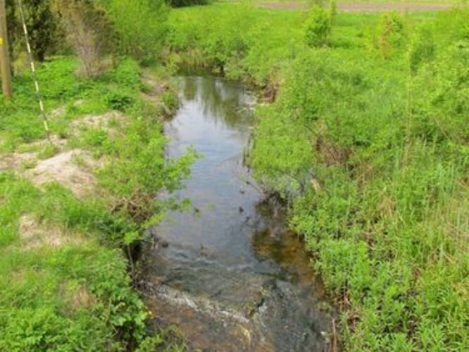 Maakond: Saaremaa Veekogu nimi: Pühajõgi Pildistamise aeg: 24. mai 2010 Pildistaja: H. Timm Pildistamise koht: Ulje Asimuut: