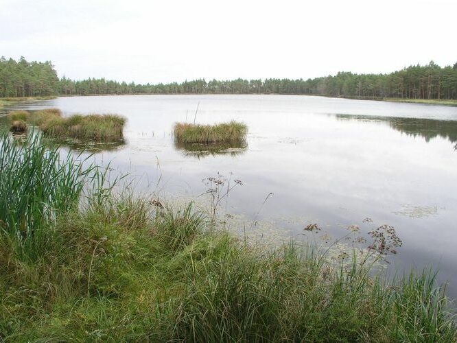 Maakond: Ida-Virumaa Veekogu nimi: Puhatu Martiska järv Pildistamise aeg: 12. september 2007 Pildistaja: H. Timm Pildistamise koht: teadmata Asimuut: