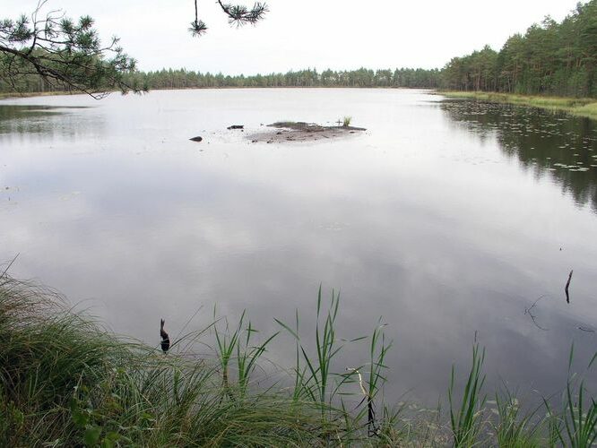 Maakond: Ida-Virumaa Veekogu nimi: Puhatu Martiska järv Pildistamise aeg: 12. september 2007 Pildistaja: H. Timm Pildistamise koht: teadmata Asimuut: