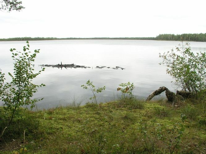 Maakond: Ida-Virumaa Veekogu nimi: Puhatu Suurjärv Pildistamise aeg: 12. september 2007 Pildistaja: H. Timm Pildistamise koht: teadmata Asimuut: