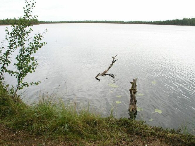 Maakond: Ida-Virumaa Veekogu nimi: Puhatu Suurjärv Pildistamise aeg: 12. september 2007 Pildistaja: H. Timm Pildistamise koht: teadmata Asimuut: