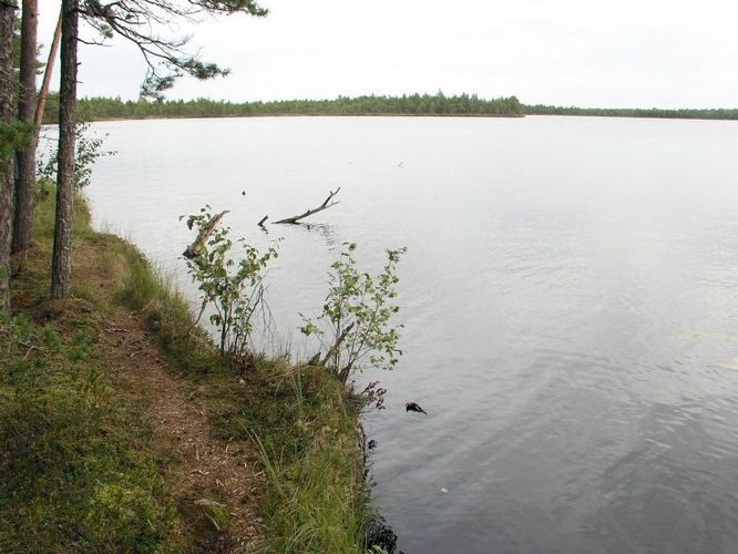 Maakond: Ida-Virumaa Veekogu nimi: Puhatu Suurjärv Pildistamise aeg: 12. september 2007 Pildistaja: H. Timm Pildistamise koht: teadmata Asimuut: