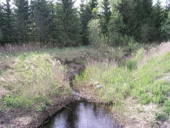 Maakond: Pärnumaa Veekogu nimi: Punaoja Pildistamise aeg: 13. mai 2008 Pildistaja: H. Timm Pildistamise koht: teadmata Asimuut: