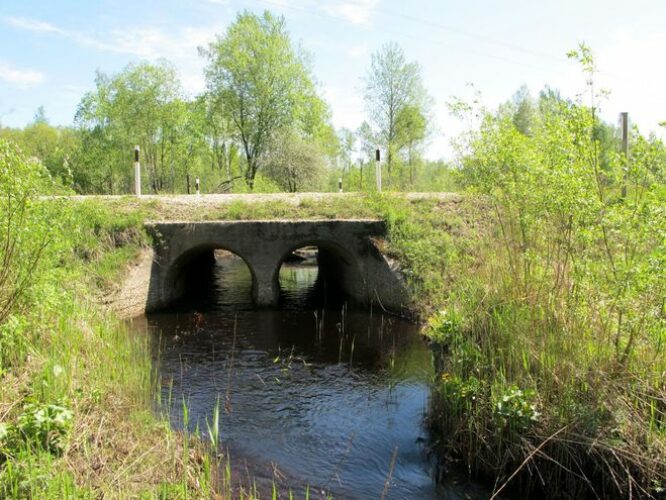 Maakond: Pärnumaa Veekogu nimi: Punaoja Pildistamise aeg: 20. mai 2010 Pildistaja: H. Timm Pildistamise koht: teadmata Asimuut: