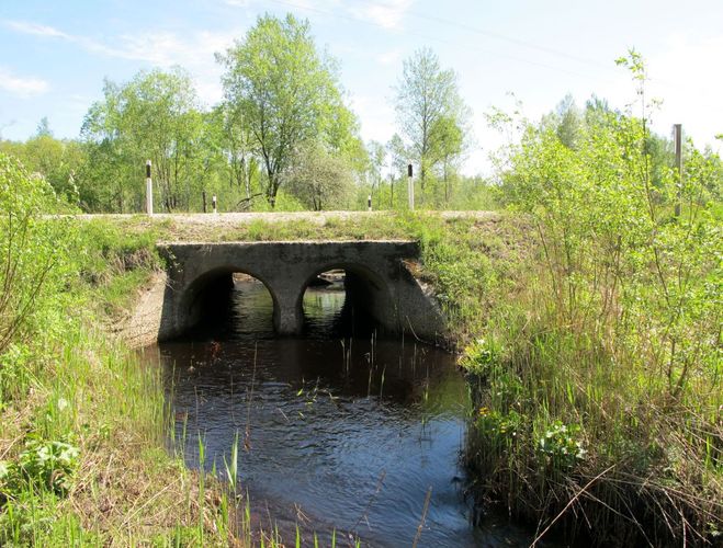 Maakond: Pärnumaa Veekogu nimi: Punaoja Pildistamise aeg: 20. mai 2010 Pildistaja: H. Timm Pildistamise koht: teadmata Asimuut: