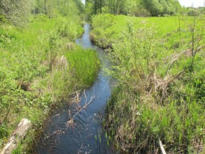 Maakond: Pärnumaa Veekogu nimi: Punaoja Pildistamise aeg: 20. mai 2010 Pildistaja: H. Timm Pildistamise koht: teadmata Asimuut: