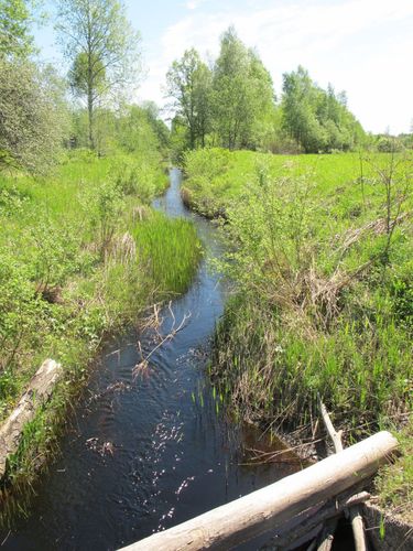 Maakond: Pärnumaa Veekogu nimi: Punaoja Pildistamise aeg: 20. mai 2010 Pildistaja: H. Timm Pildistamise koht: teadmata Asimuut: