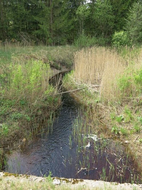 Maakond: Pärnumaa Veekogu nimi: Punaoja Pildistamise aeg: 21. mai 2014 Pildistaja: H. Timm Pildistamise koht: alamjooks Asimuut: