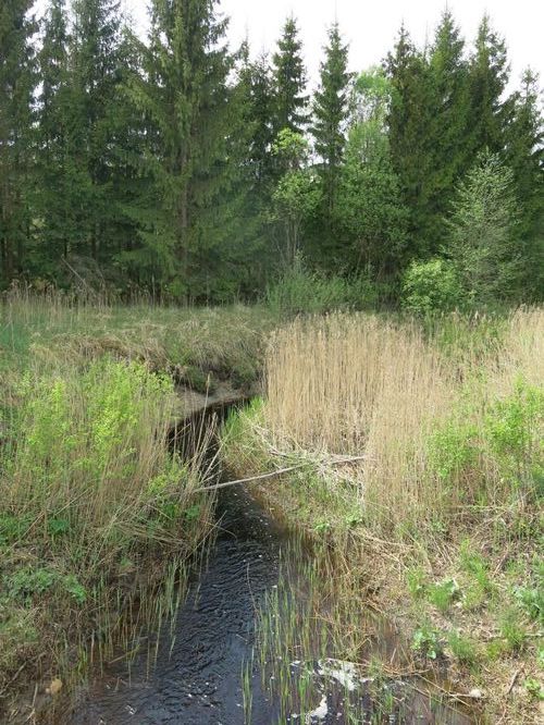 Maakond: Pärnumaa Veekogu nimi: Punaoja Pildistamise aeg: 21. mai 2014 Pildistaja: H. Timm Pildistamise koht: alamjooks Asimuut: