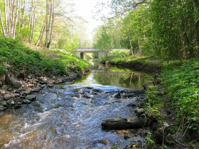 Maakond: Saaremaa Veekogu nimi: Punapea jõgi Pildistamise aeg: 21. mai 2011 Pildistaja: H. Timm Pildistamise koht: Mustjala - Võhma tee Asimuut: