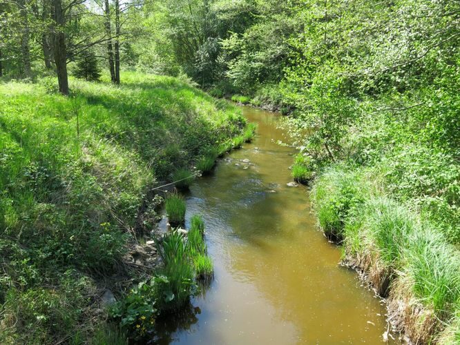 Maakond: Saaremaa Veekogu nimi: Punapea jõgi Pildistamise aeg: 23. mai 2014 Pildistaja: H. Timm Pildistamise koht: Poka Asimuut: