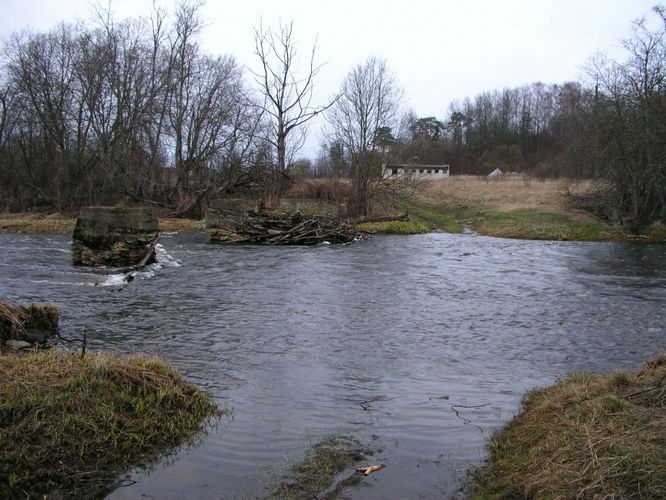 Maakond: Ida-Virumaa Veekogu nimi: Purtse jõgi Pildistamise aeg: 24. aprill 2007 Pildistaja: H. Timm Pildistamise koht: suudme lähedal Asimuut: