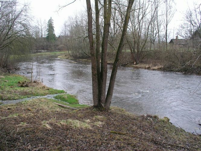 Maakond: Ida-Virumaa Veekogu nimi: Purtse jõgi Pildistamise aeg: 24. aprill 2007 Pildistaja: H. Timm Pildistamise koht: Savala Asimuut: