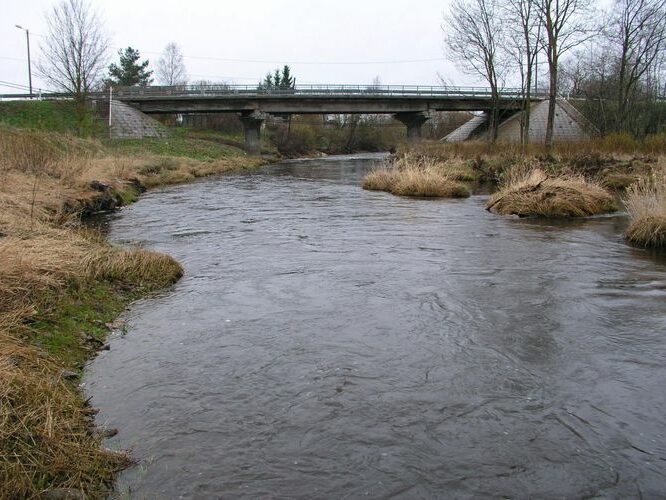 Maakond: Ida-Virumaa Veekogu nimi: Purtse jõgi Pildistamise aeg: 24. aprill 2007 Pildistaja: H. Timm Pildistamise koht: Lüganuse Asimuut: