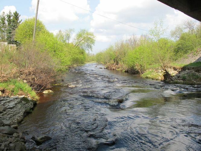 Maakond: Ida-Virumaa Veekogu nimi: Purtse jõgi Pildistamise aeg: 13. mai 2010 Pildistaja: H. Timm Pildistamise koht: Lüganuse silla alt Asimuut: