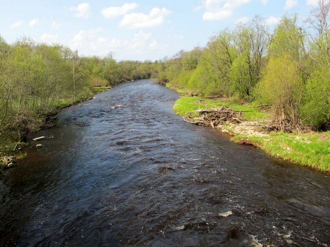 Maakond: Ida-Virumaa Veekogu nimi: Purtse jõgi Pildistamise aeg: 13. mai 2010 Pildistaja: H. Timm Pildistamise koht: suue Asimuut: