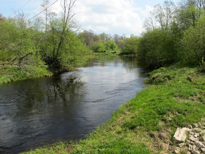 Maakond: Ida-Virumaa Veekogu nimi: Purtse jõgi Pildistamise aeg: 13. mai 2010 Pildistaja: H. Timm Pildistamise koht: Lüganuse Asimuut: