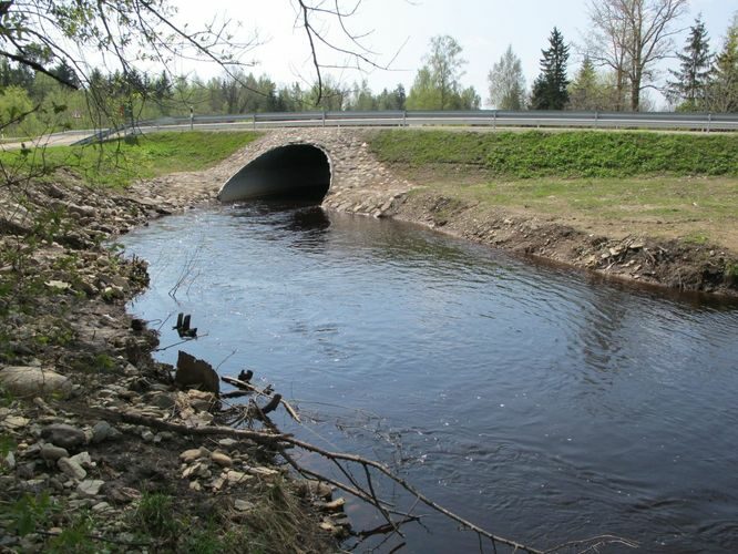 Maakond: Ida-Virumaa Veekogu nimi: Purtse jõgi Pildistamise aeg: 13. mai 2010 Pildistaja: H. Timm Pildistamise koht: Arukääru Asimuut: