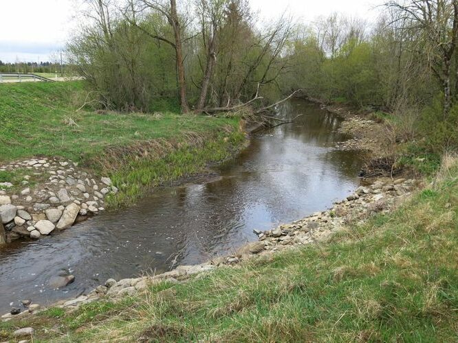 Maakond: Ida-Virumaa Veekogu nimi: Purtse jõgi Pildistamise aeg: 5. mai 2014 Pildistaja: H. Timm Pildistamise koht: Aruküla Asimuut: