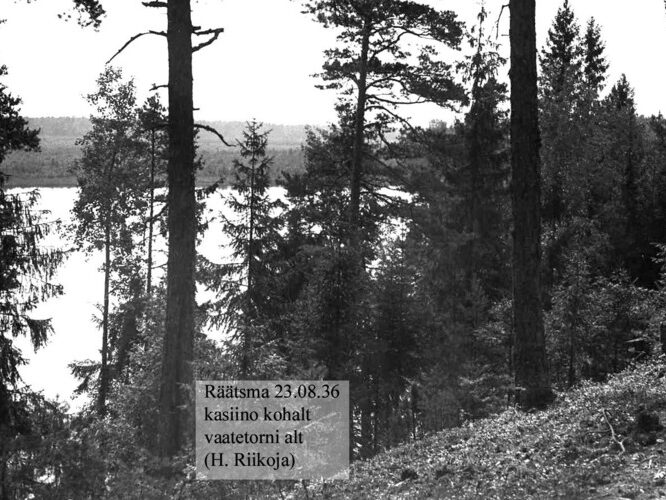 Maakond: Ida-Virumaa Veekogu nimi: Räätsma järv Pildistamise aeg: 23. august 1936 Pildistaja: H. Riikoja Pildistamise koht: kasiino juurest, vaatetorni alt Asimuut: