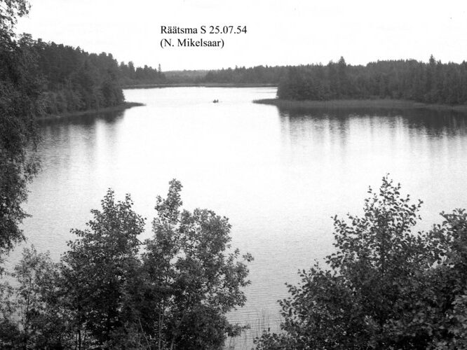 Maakond: Ida-Virumaa Veekogu nimi: Räätsma järv Pildistamise aeg: 25. juuli 1954 Pildistaja: N. Mikelsaar Pildistamise koht: S-otsast Asimuut: NNE